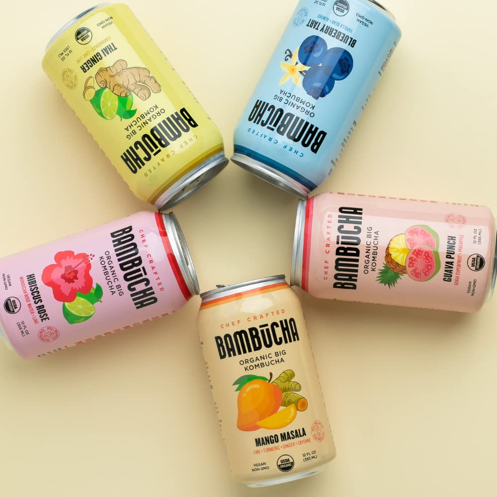 Organic Raw Kombucha Tea Variety Pack with Probiotics 12 Pack