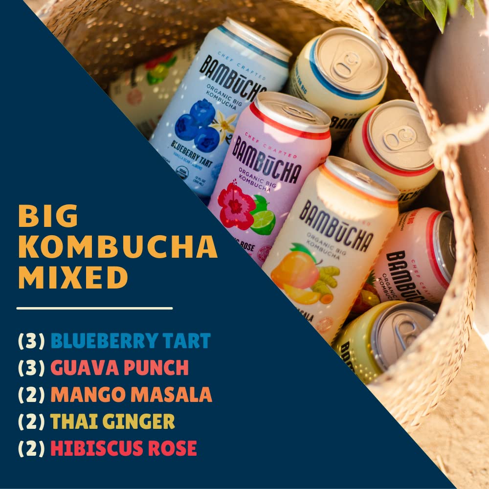 Organic Raw Kombucha Tea Variety Pack with Probiotics 12 Pack