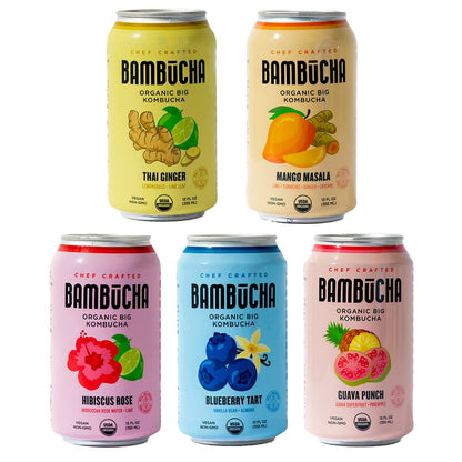 Organic Raw Kombucha Tea Variety Pack with Probiotics 12 Pack