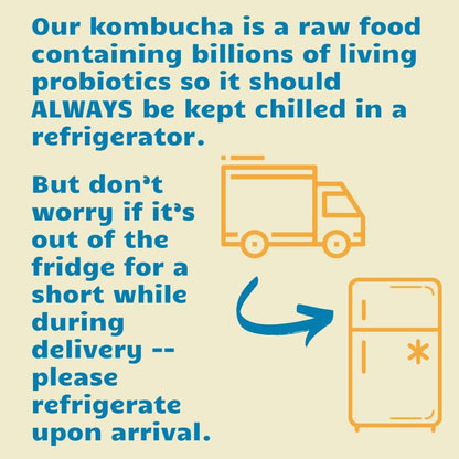 Organic Blueberry Kombucha Tea Drink with Probiotics 12 Pack
