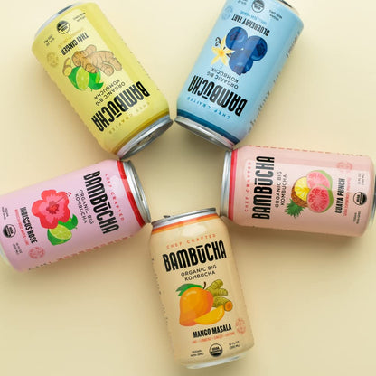 Organic Raw Kombucha Tea Variety Pack with Probiotics 12 Pack