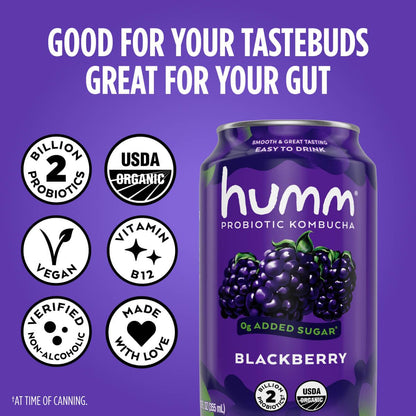 Humm Original Kombucha, Organic, Vegan & GMO Free