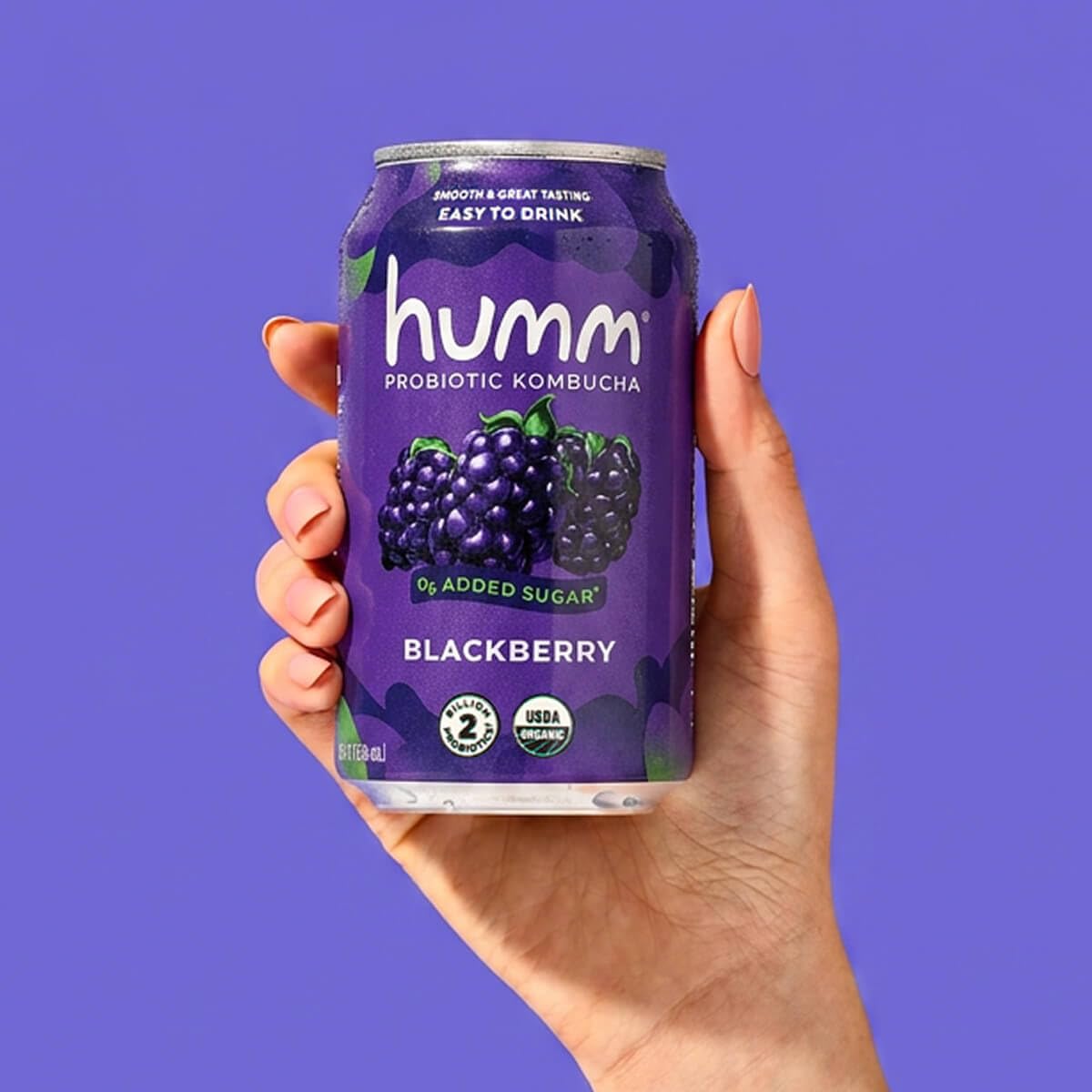 Humm Original Kombucha, Organic, Vegan & GMO Free
