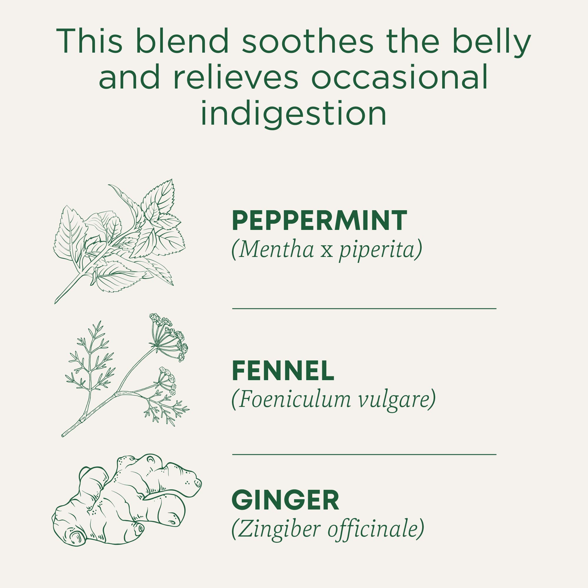 Traditional Medicinals Organic Digestive Tea