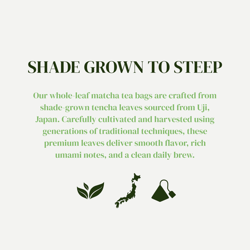 Matcha Kari Organic Japanese Green Tea Bags - Whole Leaf Tencha - 20 Ct