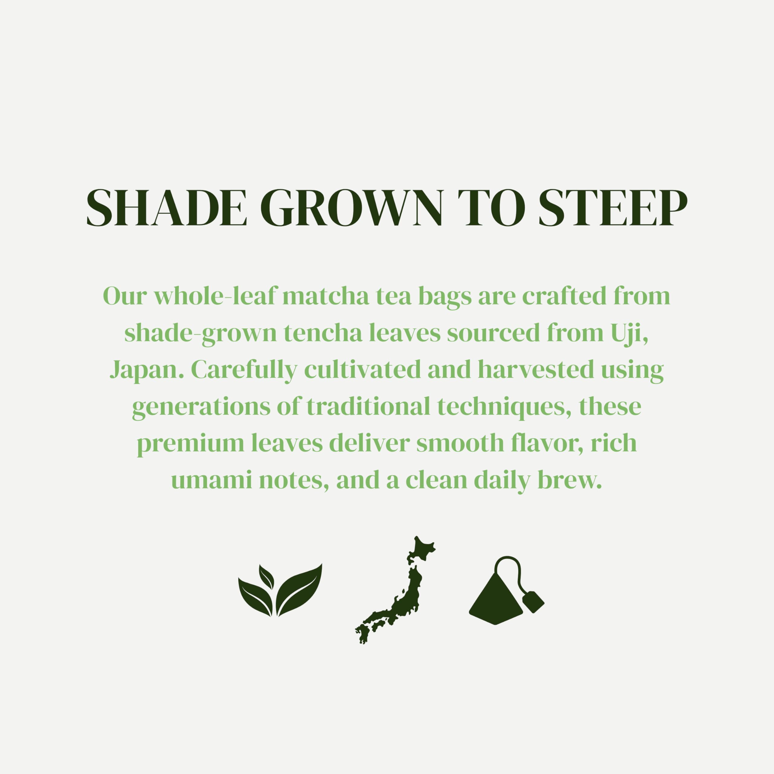 Matcha Kari Organic Japanese Green Tea Bags - Whole Leaf Tencha - 20 Ct