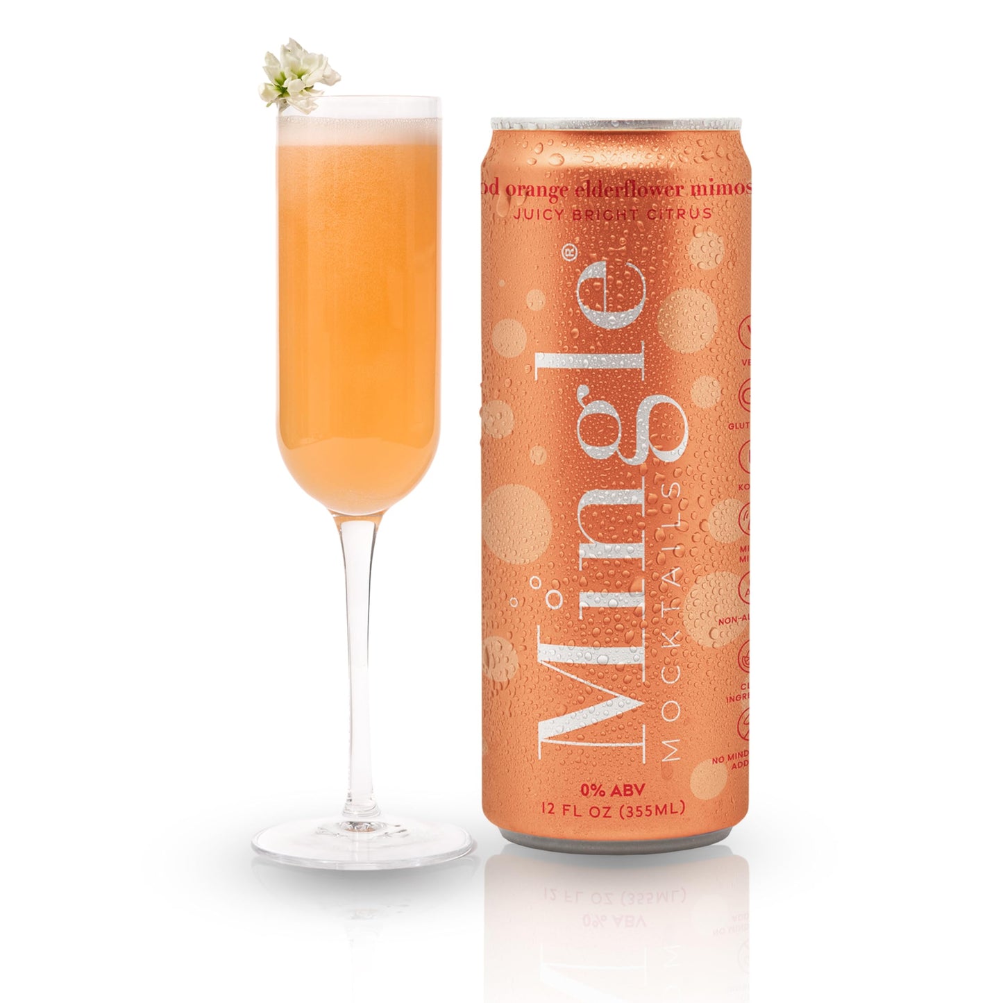 Non Alcoholic Mocktail Drinks with Real Juice Flavor Blend 12 Pack