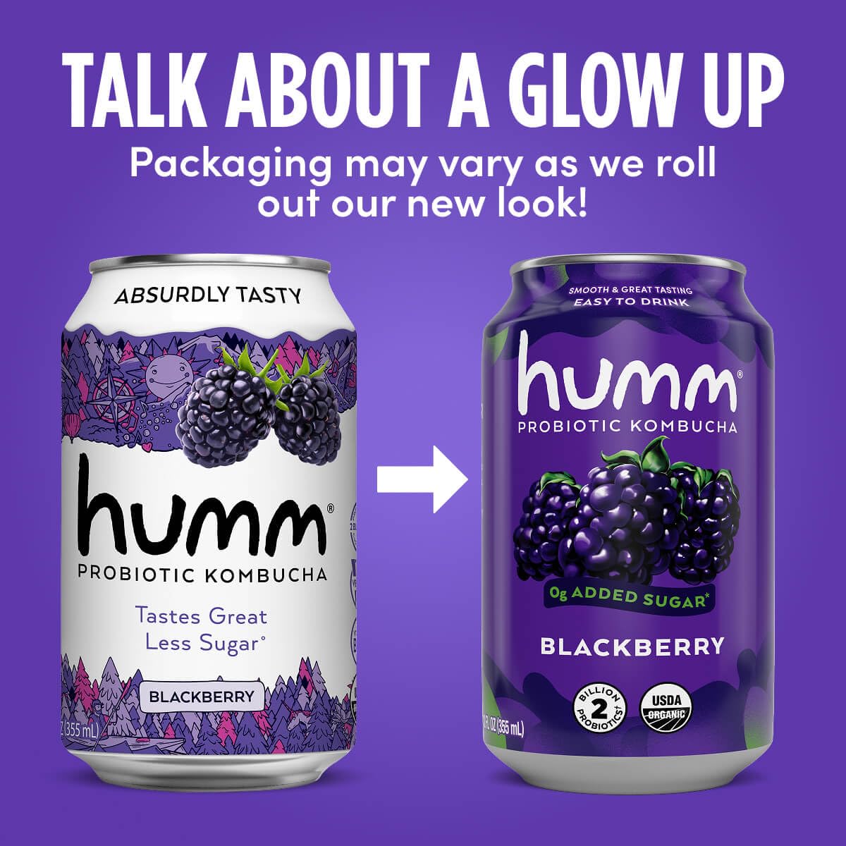 Humm Original Kombucha, Organic, Vegan & GMO Free
