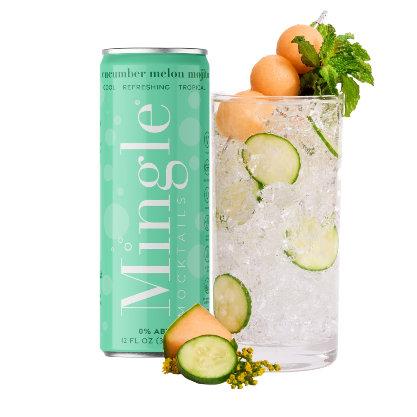 Non Alcoholic Mocktail Drinks with Real Juice Flavor Blend 12 Pack