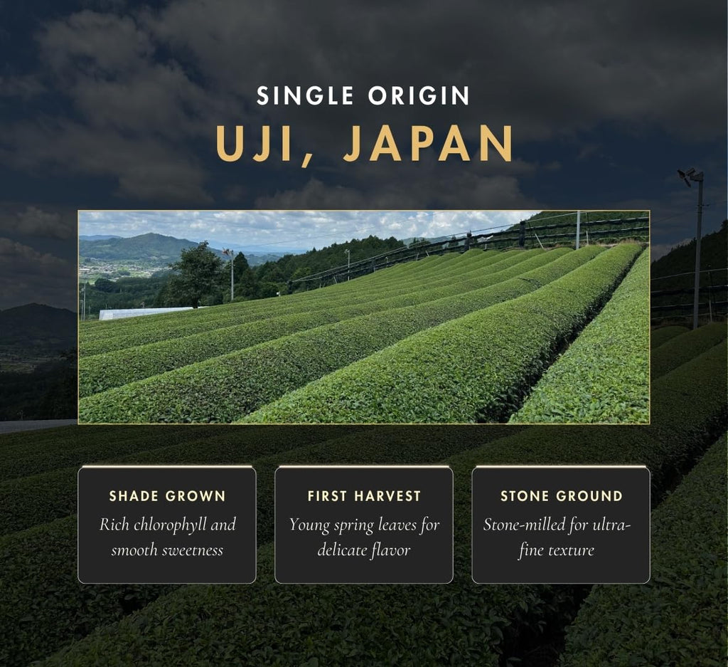 Organic Ceremonial Matcha Green Tea Powder from Uji Kyoto