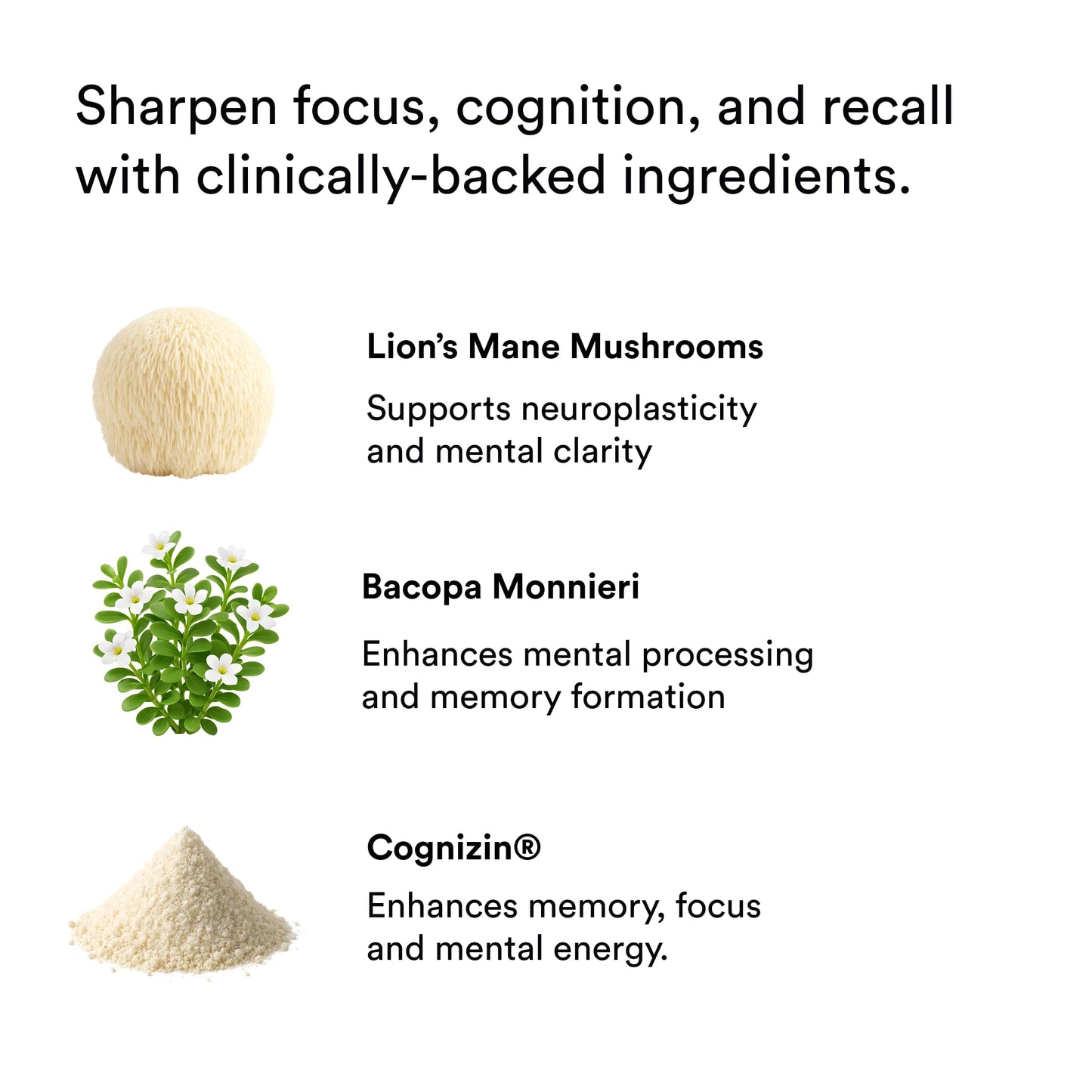 Focus Energy Drink Shots with Matcha, Adaptogens & Functional Mushrooms