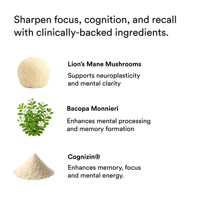 Focus Energy Drink Shots with Matcha, Adaptogens & Functional Mushrooms