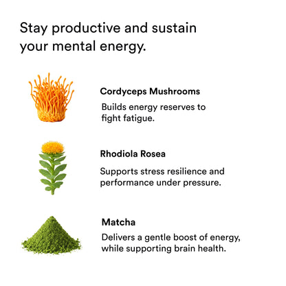 Focus Energy Drink Shots with Matcha, Adaptogens & Functional Mushrooms