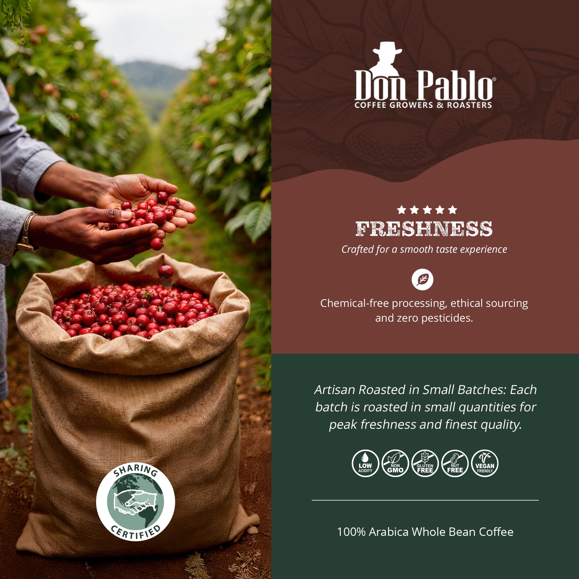 Signature Blend 100% Arabica Whole Bean Coffee Medium Roast