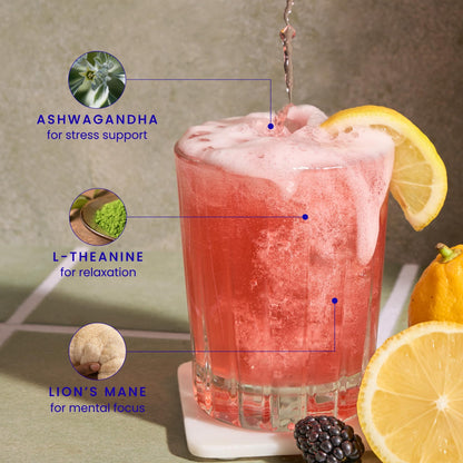 Non Alcoholic Mocktail Variety Pack with Real Juice Flavors 24 Pack
