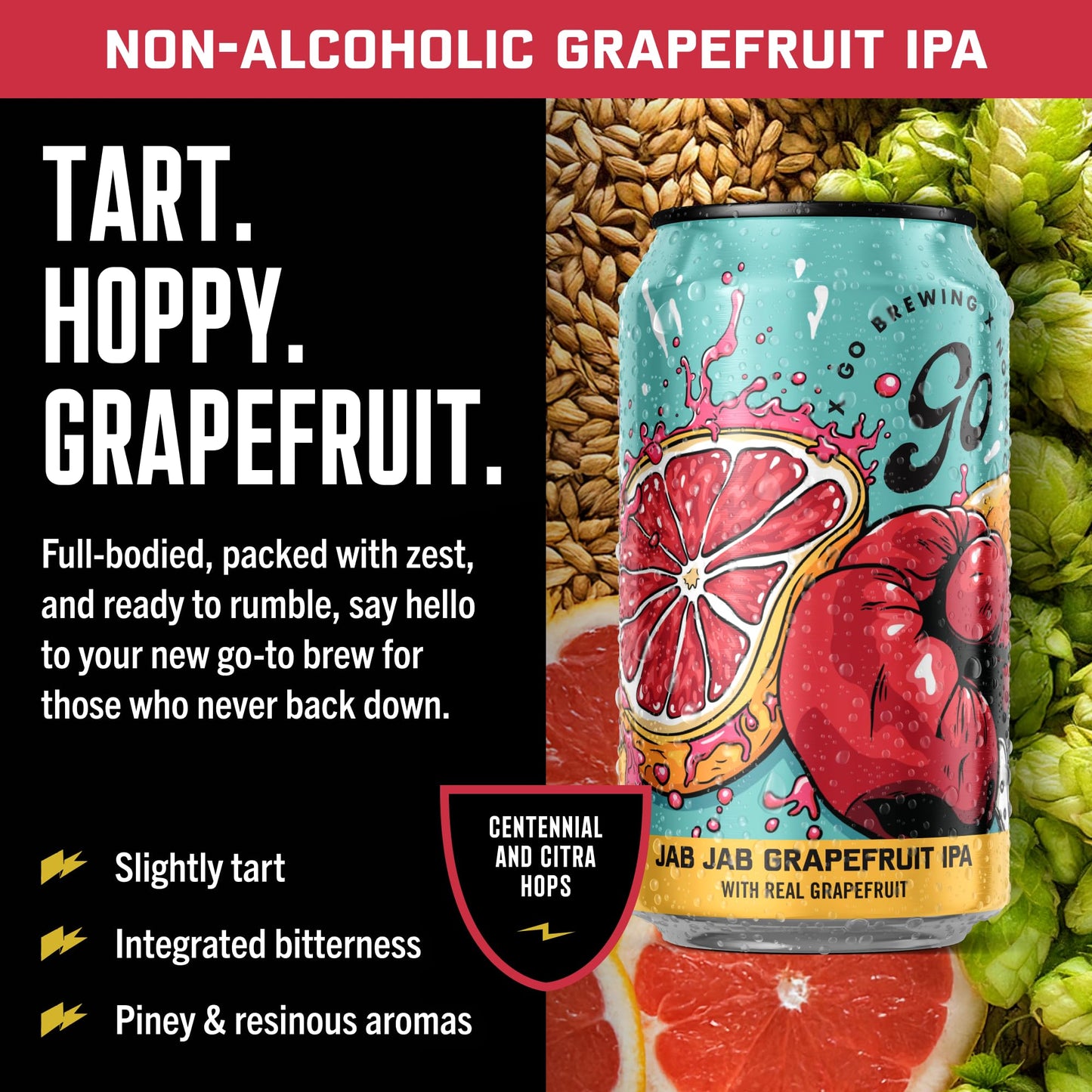 Go Brewing NA Beer, 12 Pack (12 oz)