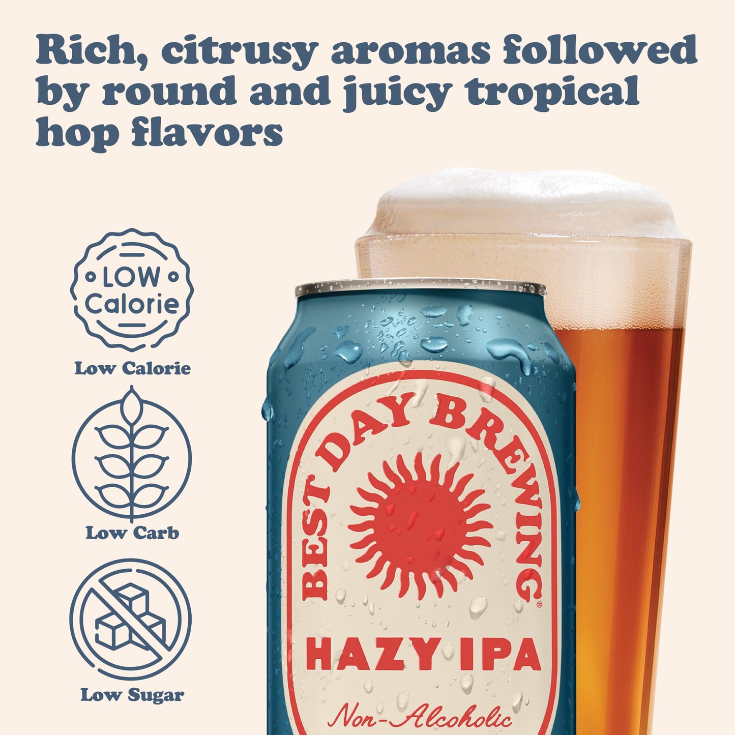 Best Day Brewing, Non Alcoholic Variety Pack